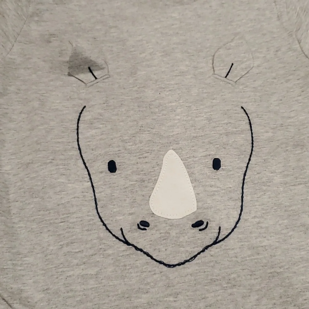 Carter Rhino & Safari Friend Shorts & T-Shirt Matching Set Size 4T